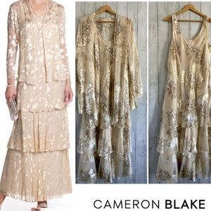 New Cameron Blake Silk Burnout Gown Set
